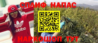 PSILOCYBIN Тула